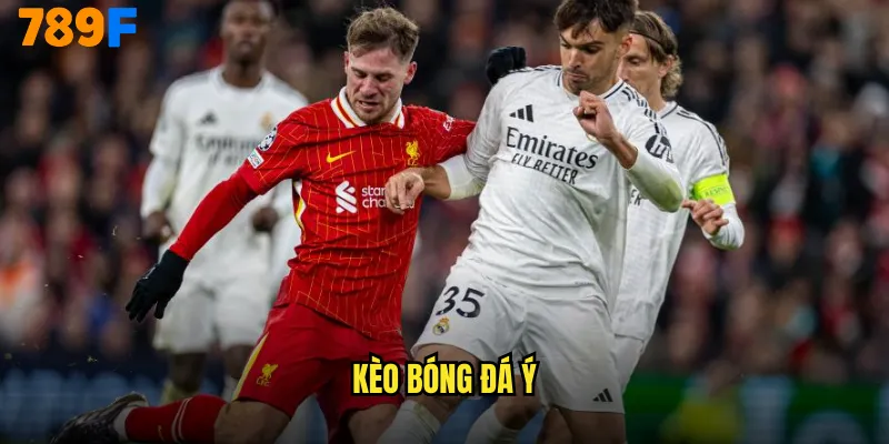 Kèo Bóng Đá Ý 789F Serie A Sân Chơi Triệu Phú 8 kèo bóng đá Ý